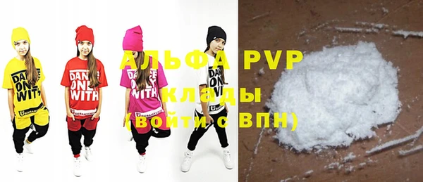 индика Лихославль