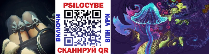 Псилоцибиновые грибы Cubensis  Суоярви 